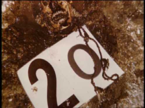 gacy1014