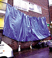 hardy-flat2